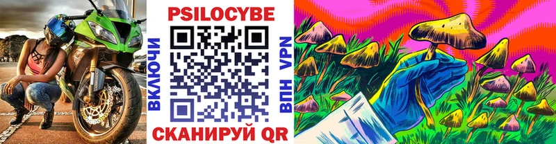 наркошоп  Берёзовка  Галлюциногенные грибы прущие грибы 